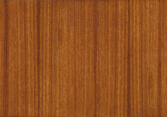 Quarter cut teak wood texture seamless - obrazy, fototapety, plakaty