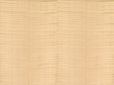 Rippled sycamore veneer texture seamless high resolution isolated