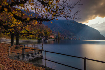 Views of Lake Thun in Interlaken with autumn trees