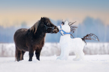 Funny little pony with a horse shaped snowman in winter - 471906342