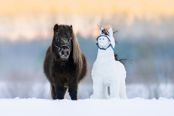 Little pony with a horse shaped snowman in winter