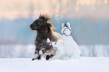 Funny pony foal smashes a snowman in the shape of a horse in winter