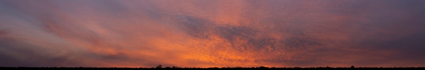 The evening sunset. Panorama. Purple clouds. Tragic gloomy sky.