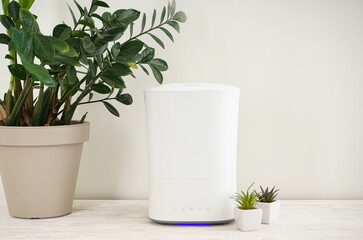 Modern humidifier and houseplant on a wooden table.