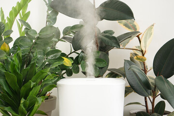 Modern humidifier and indoor plants in the room, closeup.