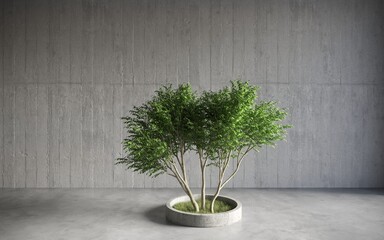 green decorative tree growing in a cement pots on gray wall background. 3D illustration, cg render