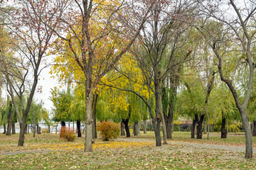 View of beautiful park on autumn day