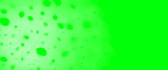 Fototapeta na wymiar water drops on a green background