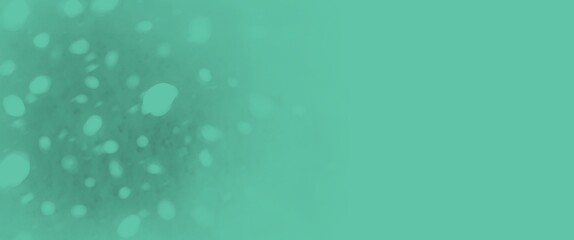 bubbles in the water