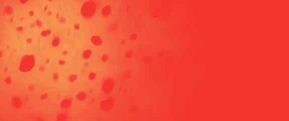 watermelon on a white