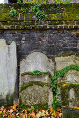 Ancient tombstones and graves overgrown by moss and plants placed against brick wall in churchyard garden on autumn morning.