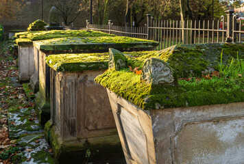 Ancient tombstones and graves overgrown by moss and plants in churchyard garden on autumn morning.