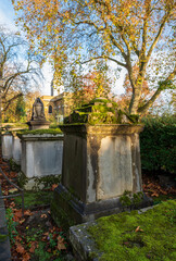 Ancient tombstones and graves overgrown by moss and plants in churchyard garden on autumn morning.