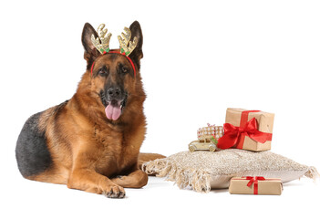 Cute German Shepherd dog with Christmas gifts and deer horns on white background