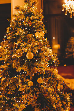 Christmas tree and gifts