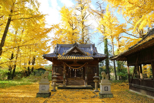 大分市images Browse 2 485 Stock Photos Vectors And Video Adobe Stock