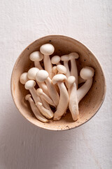Little white Shimeji mushrooms in a clay bowl