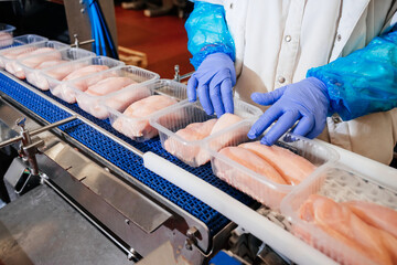 Conveyor Belt Food.Modern poultry processing plant.Meat processing plant.Chicken fillet production line.Automated production line in modern food factory.