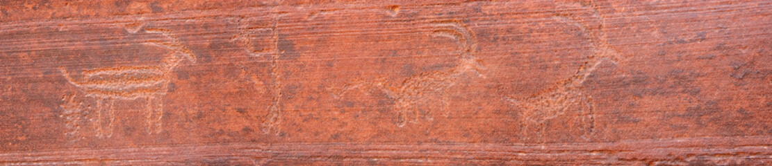 Petroglyphs in Buckskin Gulch, Utah