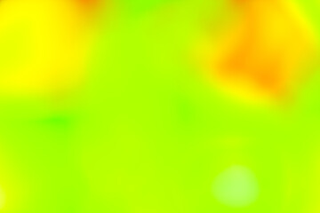 Vivid blurred colorful wallpaper background