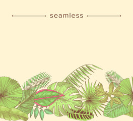 Tropical Leaves and Branches Seamless Pattern, Hand Drawn Border, Doodle Background. Rainforest Decorative Composition