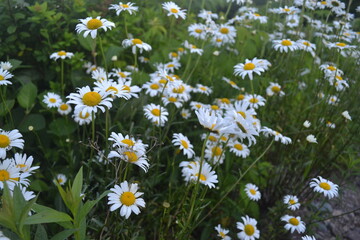 Lighthouse St. Martin's, New Brunswick, Canada