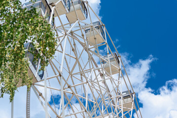 Ferris wheel and green tree.