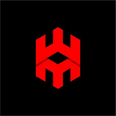 WM Hexagon initial logo vector image