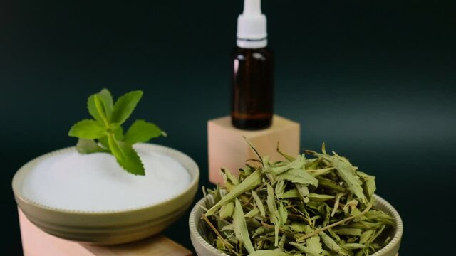 Dried stevia leaves, green branch in stevia powder and stevia liquid extract on wooden podiums on a dark green background.Organic natural sweetener.Stevia rebaudiana. 4k footage