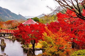 渓石園の紅葉