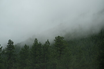 Foggy Views of Mountains in Estes Park, Colorado