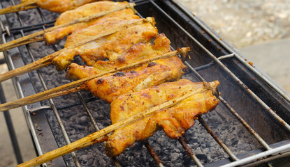 meat on the grill /Grilled chicken is a common people's favorite food.