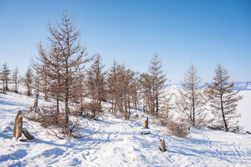 Landscape of the nature in lake Baikal, Russia during the winter season.