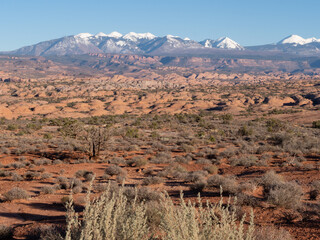 Snow Capped La Sal Mountains with Sand Dunes in the Foreground in Arches National Park