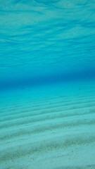 【グラフィック素材】エメラルドグリーンの海中風景と砂紋