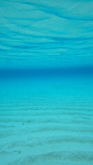 【グラフィック素材】エメラルドグリーンの海中風景と砂紋