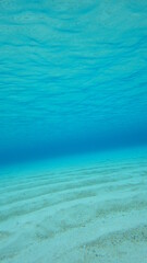 Fototapeta na wymiar 【グラフィック素材】エメラルドグリーンの海中風景と砂紋