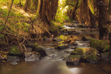 Faxinal do Céu - Pinhão - Paraná
