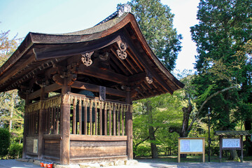Fototapeta premium 三井寺