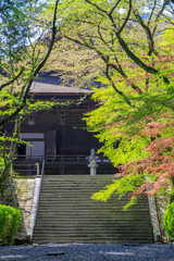 Fototapeta na wymiar 三井寺