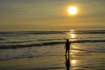 Silhouette of a person on the shore of the beach at sunset.