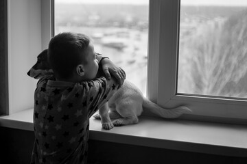 boy hugs a dog near the apartment window. jack Russell terrier on the windowsill. black and white photo