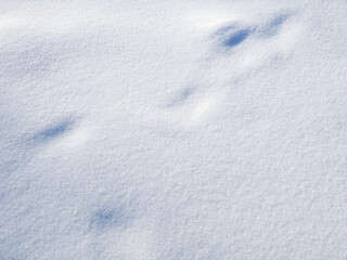 fresh white snow texture. closeup at sunny winter day.