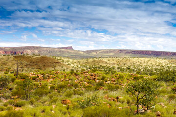 The vast Kimberley region of the Western Australian outback.