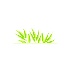 leaf green grass isolated on white