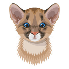 Funny Cougar Cub  Portrait Illustration - 471946361