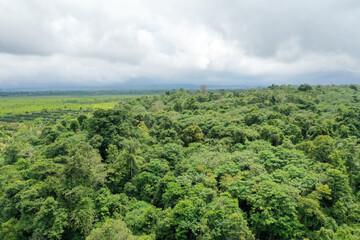 Scenic aerial view flying over the land field.