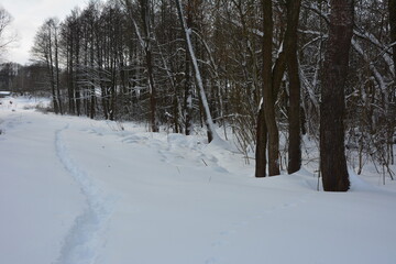 Winter scenery - narrow pathway through the deep snow