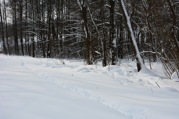 Winter scenery - narrow pathway through the deep snow