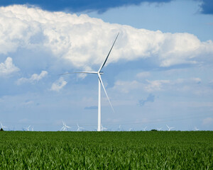 A large wind mill stands out against a blue cloudy sky with rows of wind turbines in the distant background and green corn field in the foreground. Copy Space